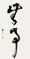 buji